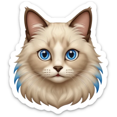 Ragdoll cat, with dark brown center face area with surrounding beige fur, bright blue eyes sticker