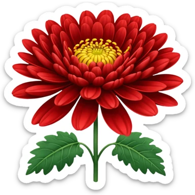 chrysanthemum flower full red sticker