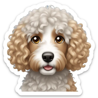 Curly haired white strawberry blonde female with blue eyes and a grey bernedoodle with a blue and brown eye sticker