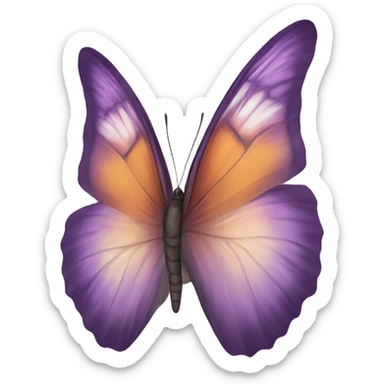  butterfly’s  sticker