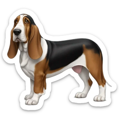 Dog-basset-hound-full-height sticker