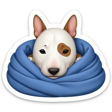 bull terrier sleeping cozy with blanket black head and eats sticker