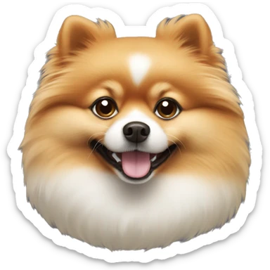 Pomeranian dog  sticker