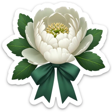 white peonies tied with a dark green bow, minimalism, iOS emoji style, no faces or smileys sticker