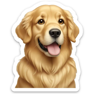 Golden retriever  sticker