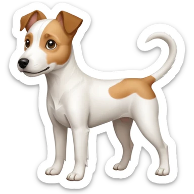 a full body white parson russell looking dog the size of a kelpie with light brown ears and a light brown patch on one eye and a large snout sticker