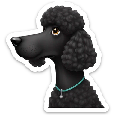 Black standard poodle  sticker