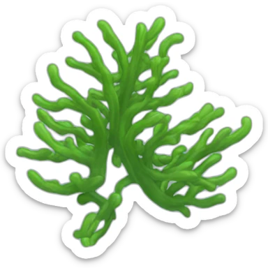seaweed sticker