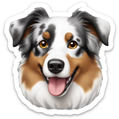 Tri color Australian shepherd  sticker