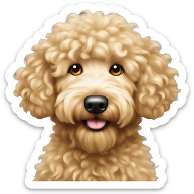 Golden doodle with very fluffy fur curly hair sticker
