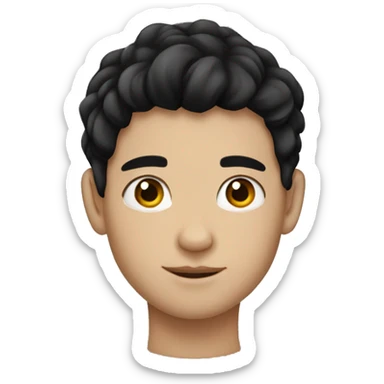 PRINCESS BOY WITH BLACK HAIR AND FAIR SKIN sticker