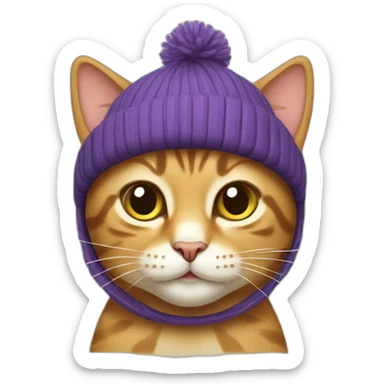 Cat wearing a toboggan  sticker