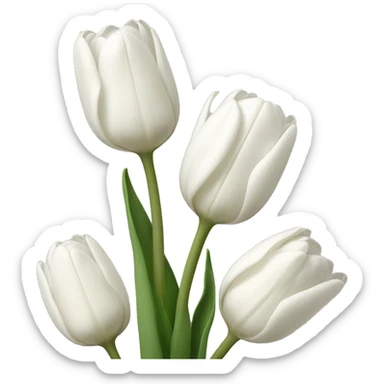 white tulips sticker