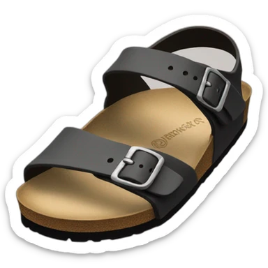 Birkenstock shoe sticker