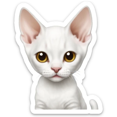 White Devon rex kitten sticker