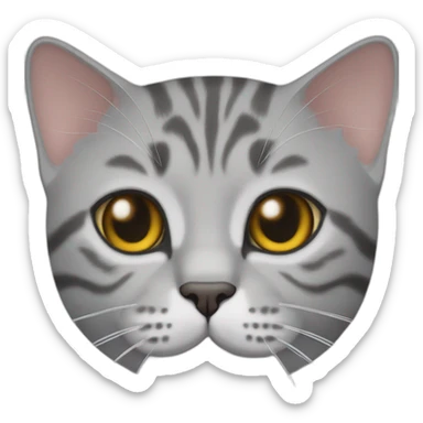 British shorthair grey tabby cat sticker