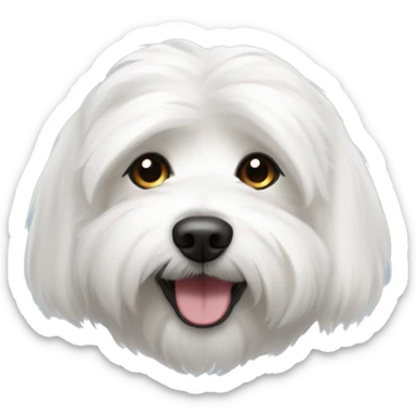 coton de tulear sticker