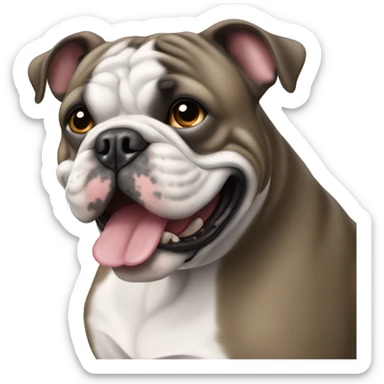 Französische graue Bulldogge sticker
