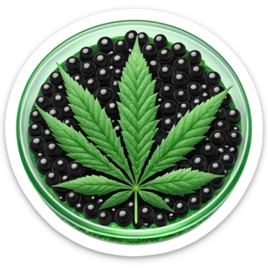 frozen caviar with cannabis leaf sticker