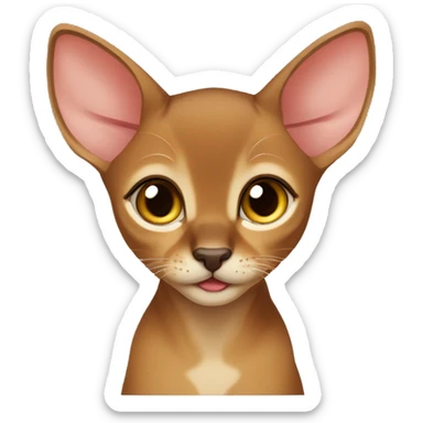 Fawn Abyssinian kitten sticker