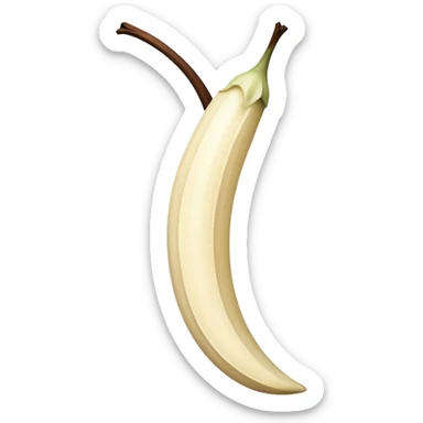 gousse de vanille sticker