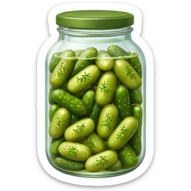 dill pickled jar









 sticker