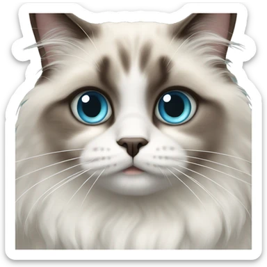 Ragdoll Cat one blue eye one green eye sticker