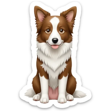 Sitting pure white Border Collie sticker