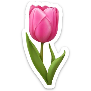 Pink tulips with a bow sticker