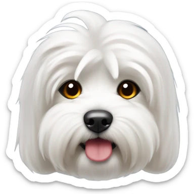 coton de tulear com lacinho vermelho sticker