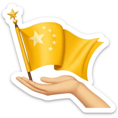 Chinar flag it has 80,000 stars and a hand sticker