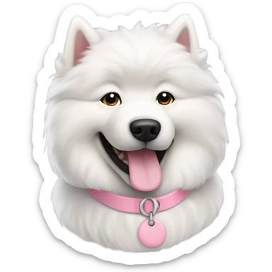 Samoyed with light pink collar sticker