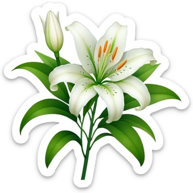 Beautiful white lily flower with green stem and leaves sticker