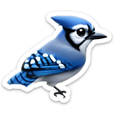 Blue Jay head sticking out of pumpkin sticker