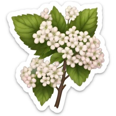 viburnum sticker