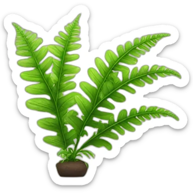growth plant fern sticker