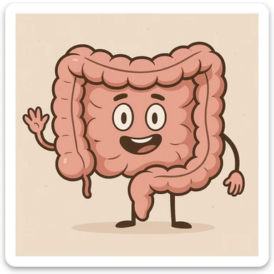 cartoon intestines, simple, friendly, medical icon style sticker