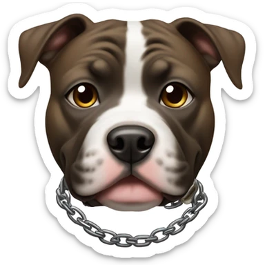 Brindle Pitbull terrier with chubby cheeks. White on face and chest with chain collar sticker