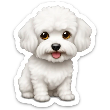 white maltipoo dog with two red brownish ears sticker