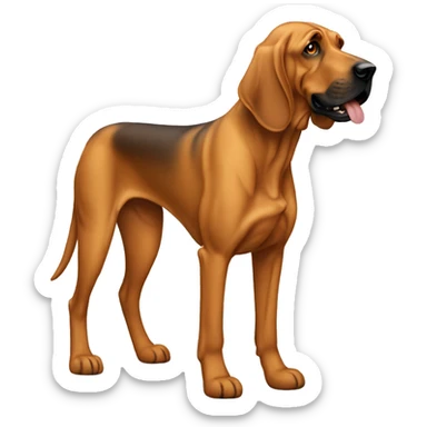 Tan bloodhound  sticker