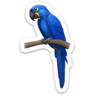 Hyacinth Macaw sticker