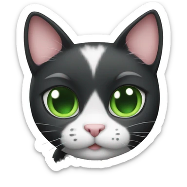  Black and white cat with green eyes holding a heart sticker
