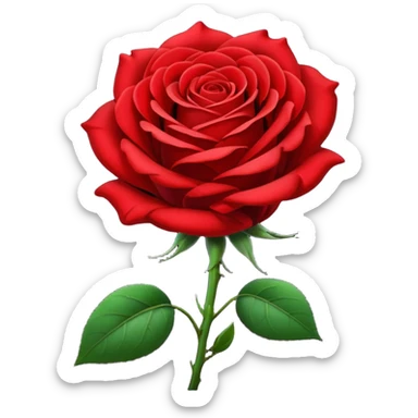Realistic dark red to bright red, long stem rose  sticker
