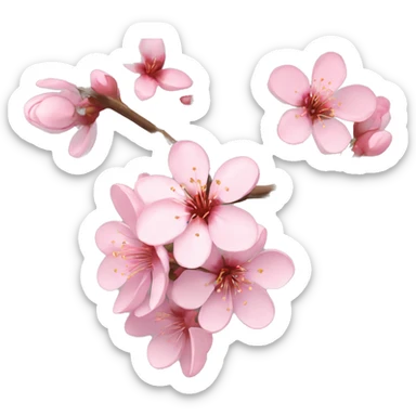 Cherry blossom flower sticker
