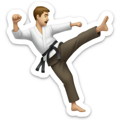 Kicking self defense sticker