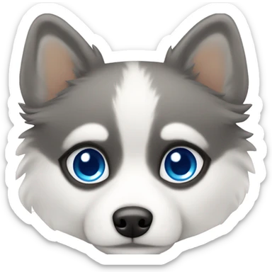 Pomsky with blue eyes sticker