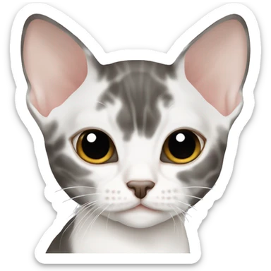 Devon Rex white and gray sticker