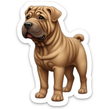 Chocolate shar-pei dog, full body sticker