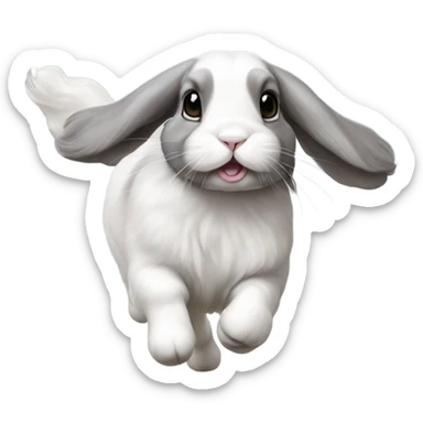 Grey holland lop running away sticker