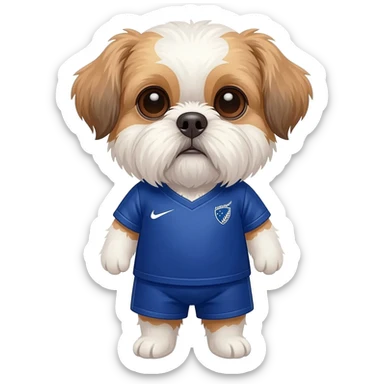 white and light brown shih zhu wearing a New Zealand soccer jersey v neck 2026 work cup sticker